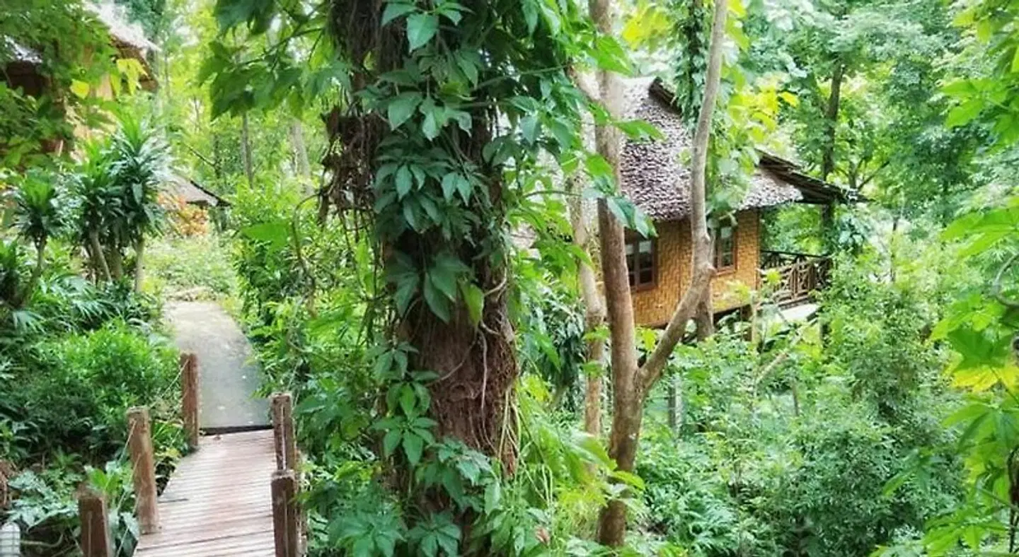 Sang Tong Huts Garten