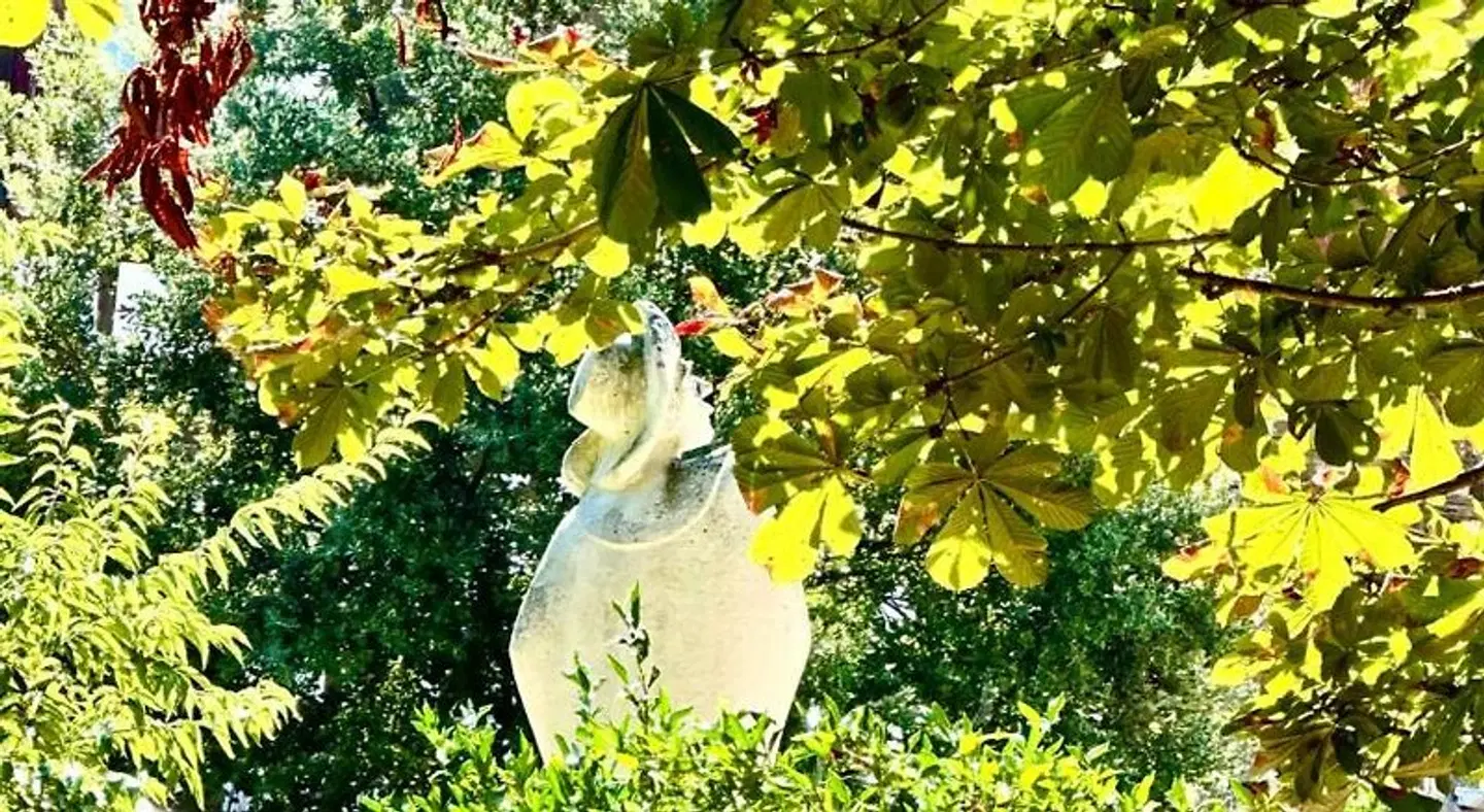 Le Colombier de Cyrano et Roxane Tiere