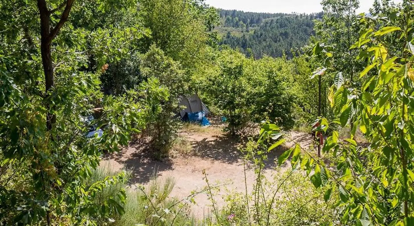Cepo Verde LANDSCAPE
