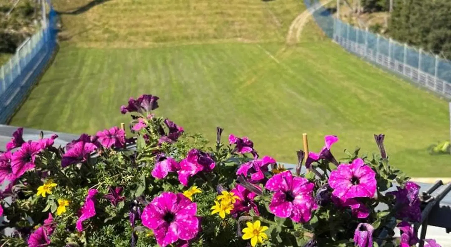 Hotel Genzianella LANDSCAPE