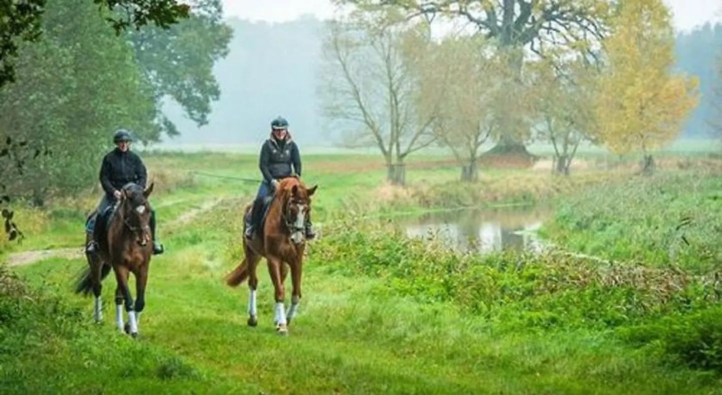 Gut Vorbeck LANDSCAPE