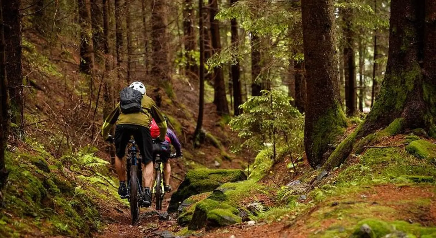 Lindenhof SPORTS_AND_LEISURE