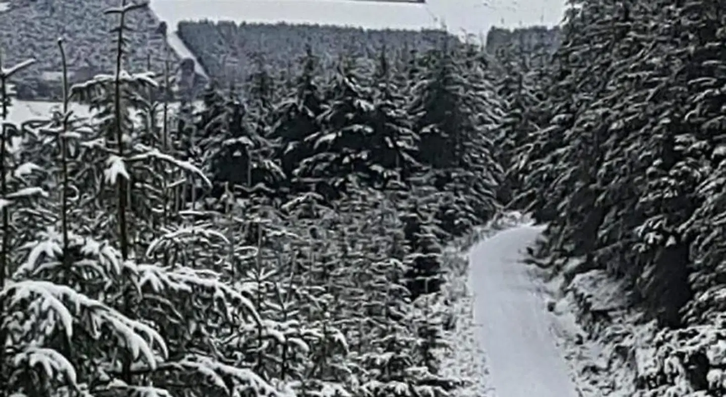 The Enniskerry Inn LANDSCAPE