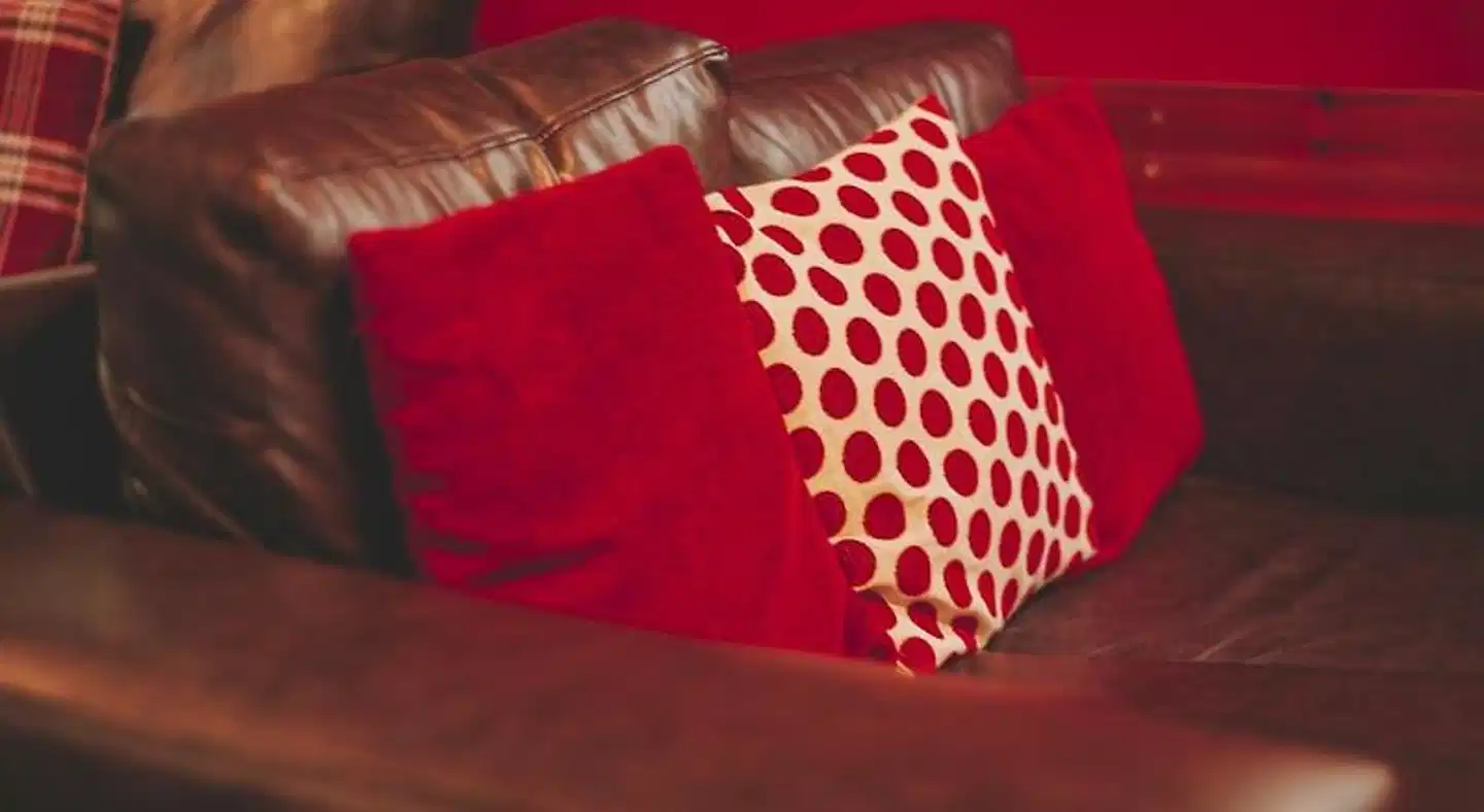 Crianlarich Youth Hostel Tiere