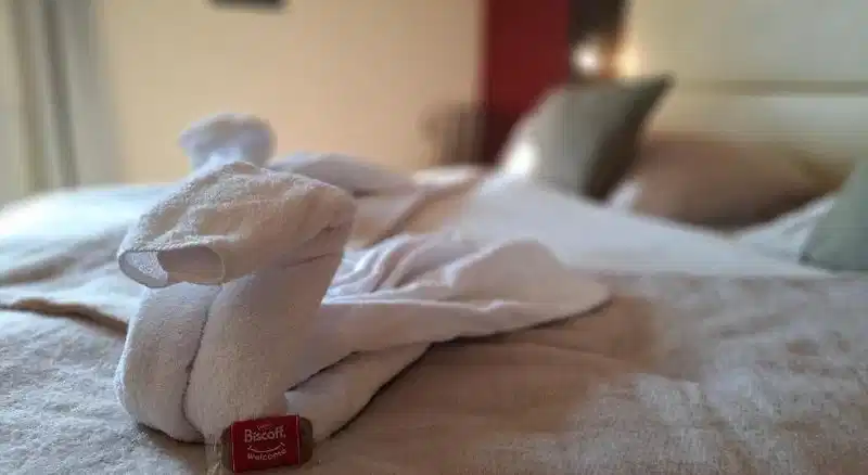 Astenrose – Hotelfoto