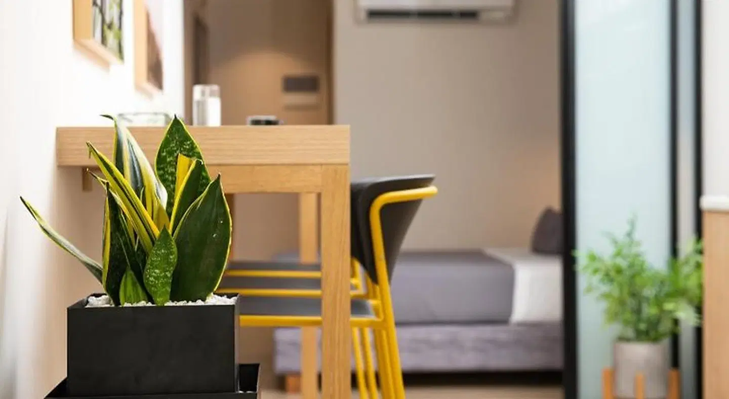 Enattica Suites ROOM_EXAMPLE