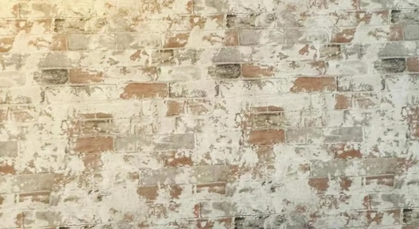 Guest House Barcelona Bruc I & II SPORTS_AND_LEISURE