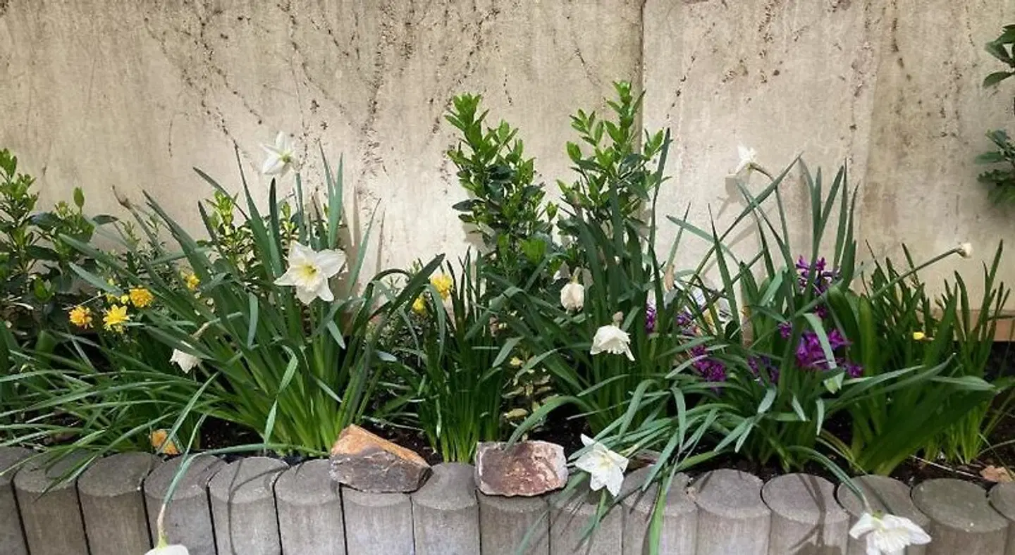 Aparthotel City 5 Garten
