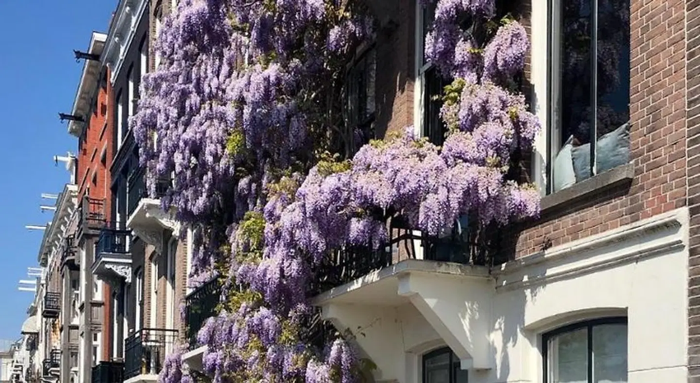 Spinoza Suites EXTERIOR