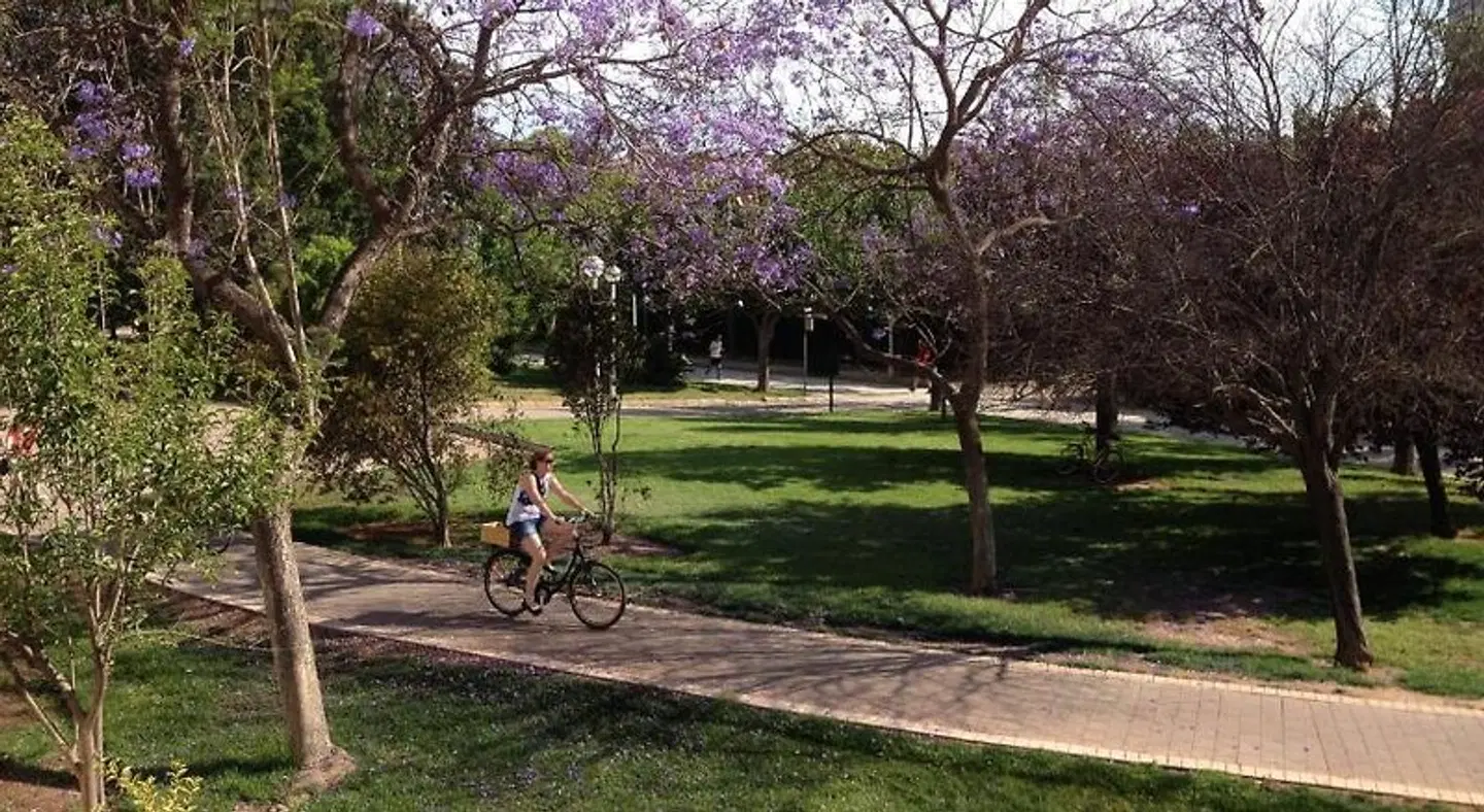 B&B Mare De Deu Jardines Del Turia SPORTS_AND_LEISURE