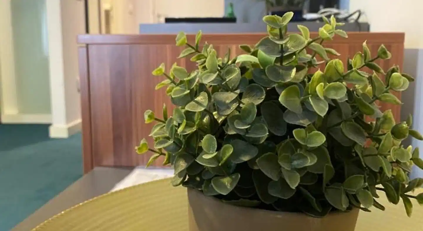 Main Square Hostel Lobby