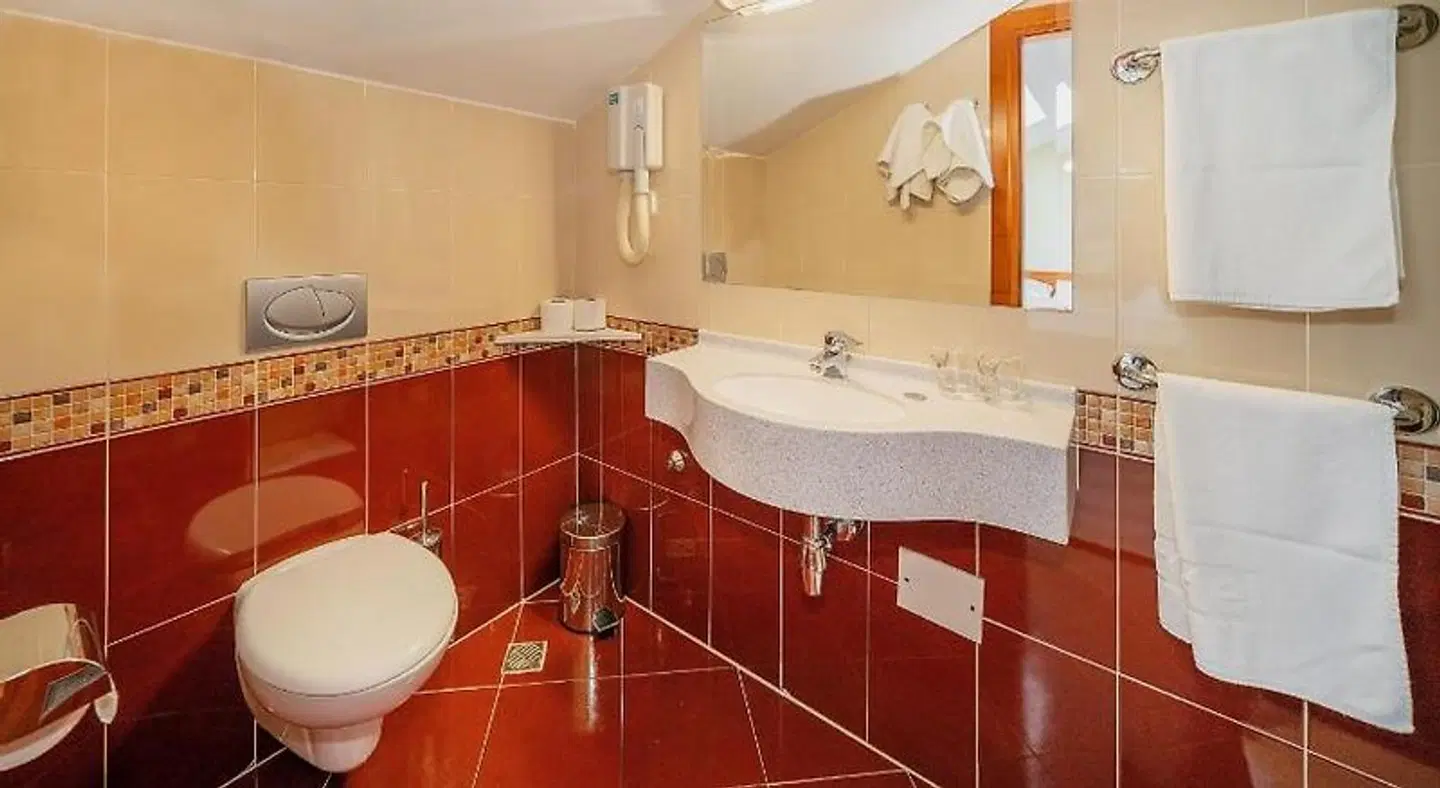 Hotel Dobrovit Badezimmer