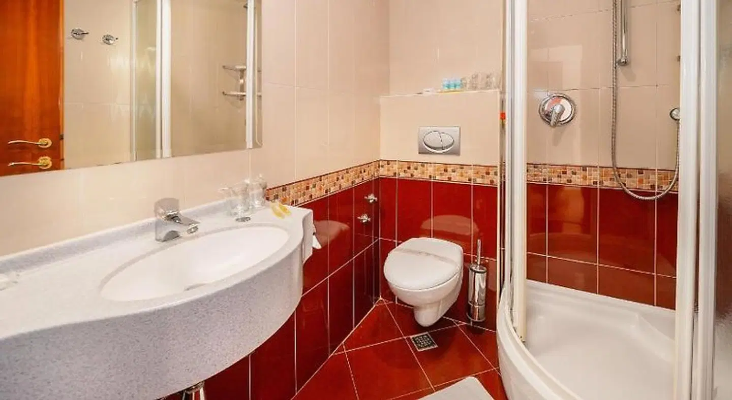 Hotel Dobrovit Badezimmer