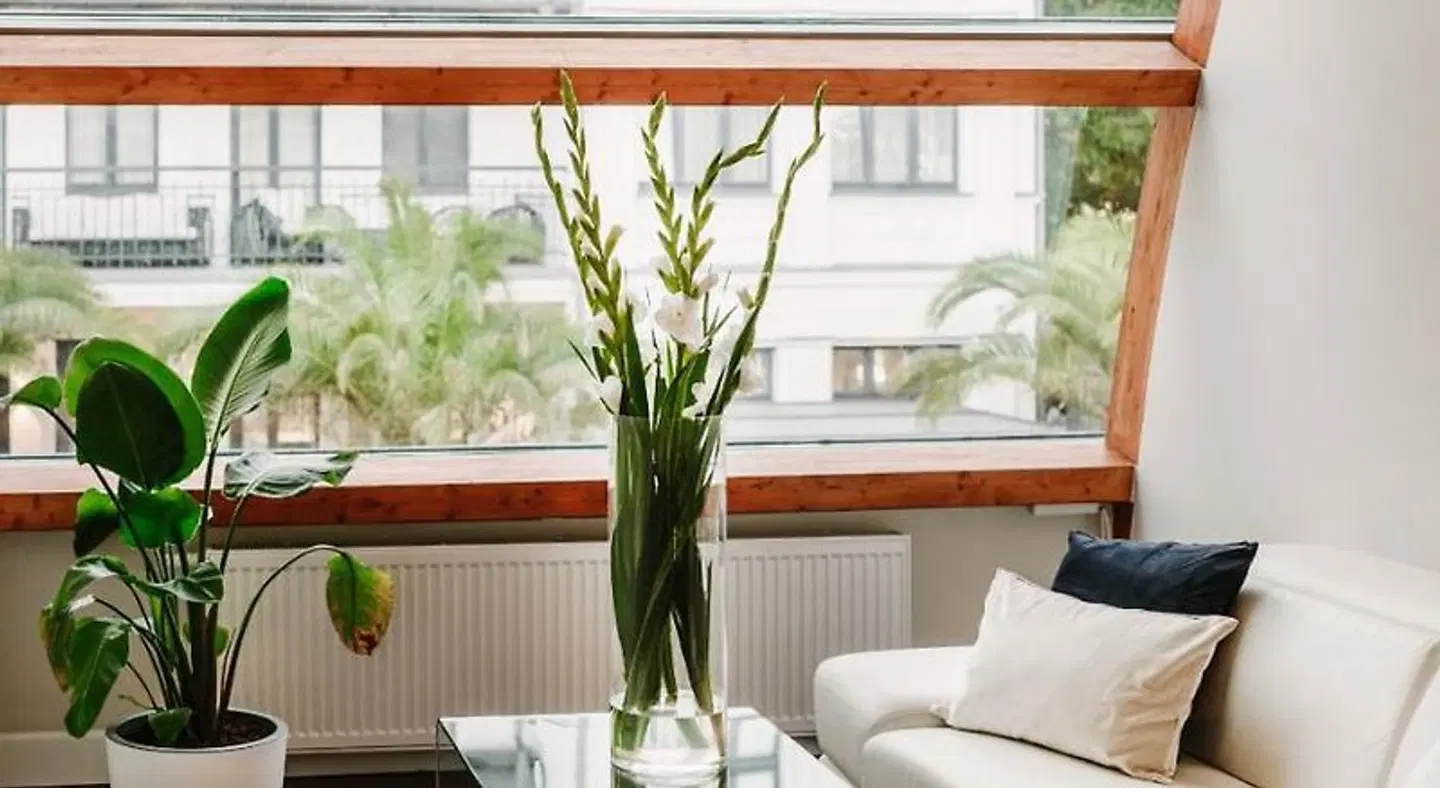 Willa Pla'owa Terrasse