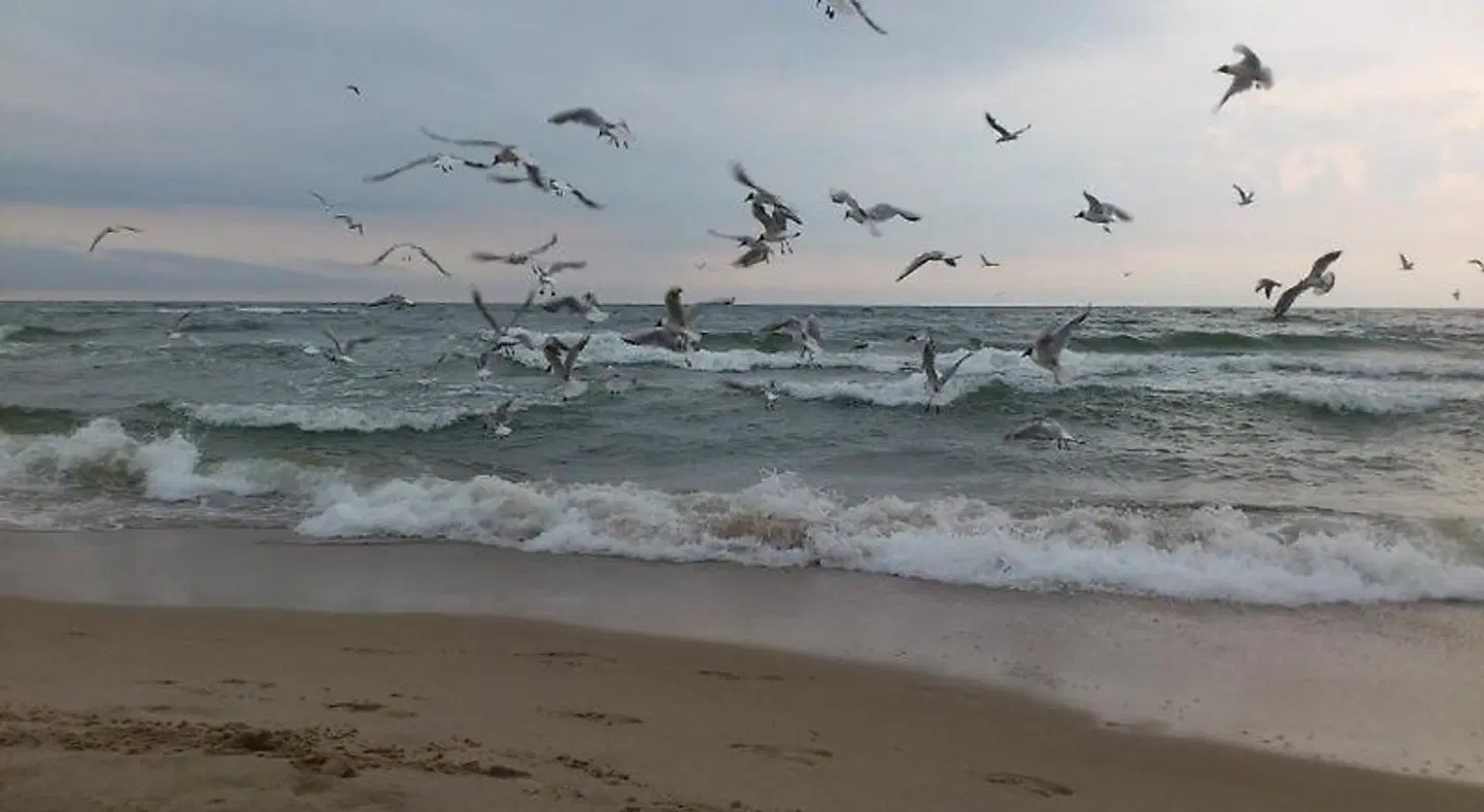 Pokoje go'cinne Fala LANDSCAPE