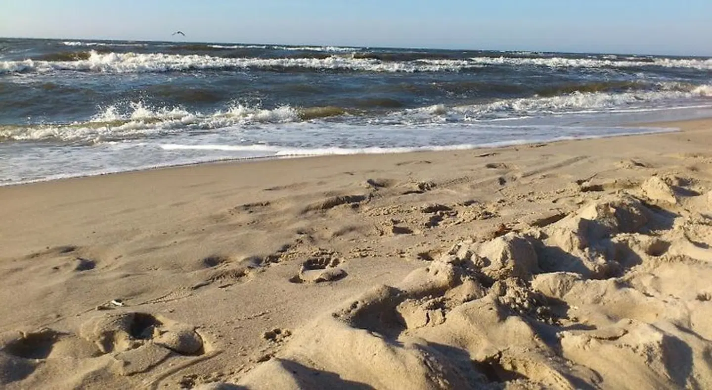 Pokoje go'cinne Fala Strand