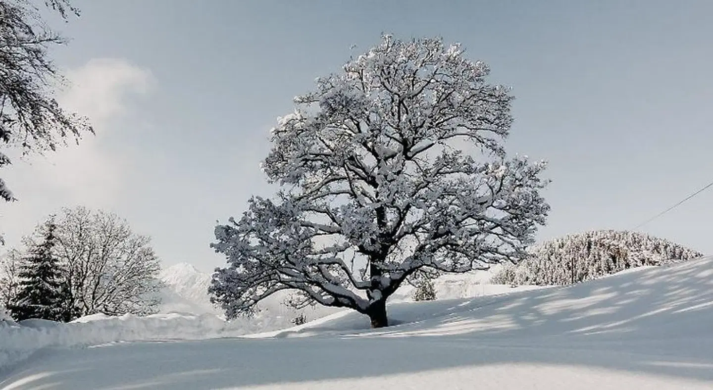 Haidachhof LANDSCAPE