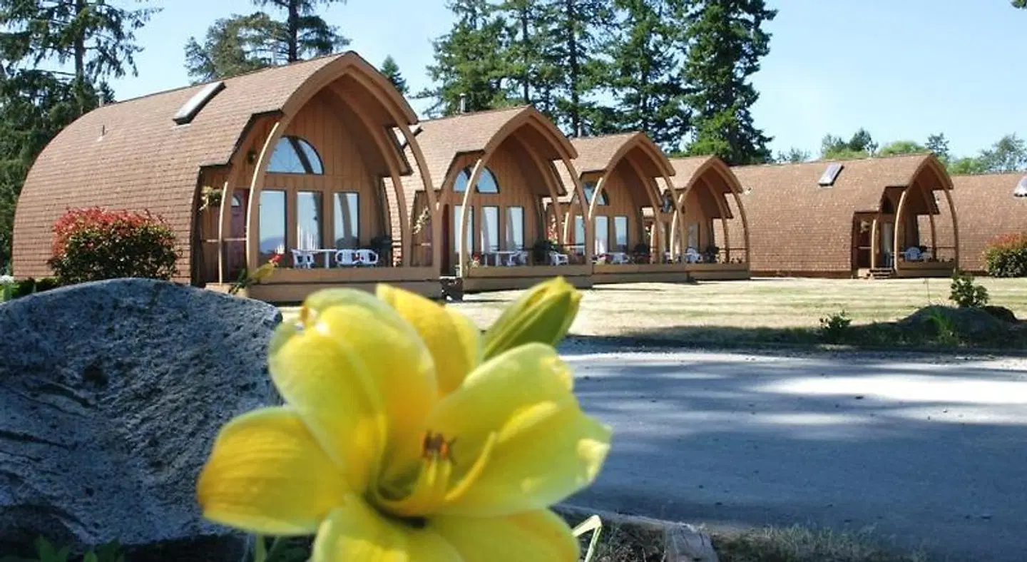 Oyster Bay Resort Tiere