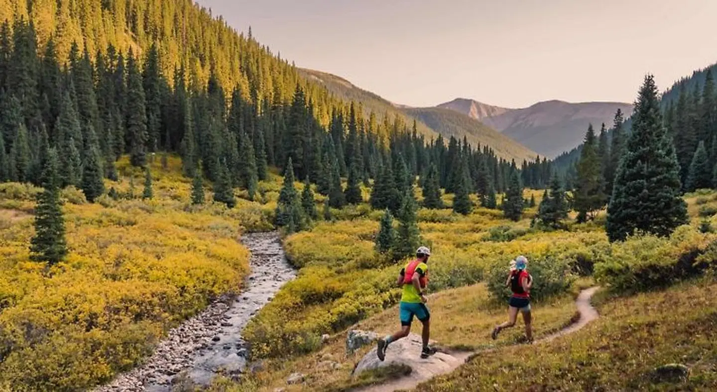 Top Of The Village LANDSCAPE