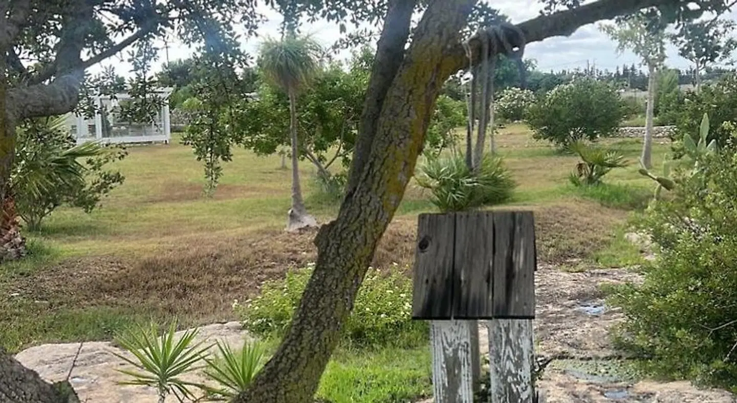 Masseria Gelsi B&B and Events Garten