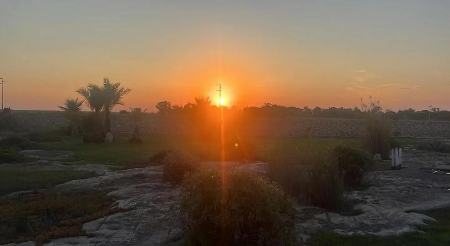 Masseria Gelsi B&B and Events LANDSCAPE