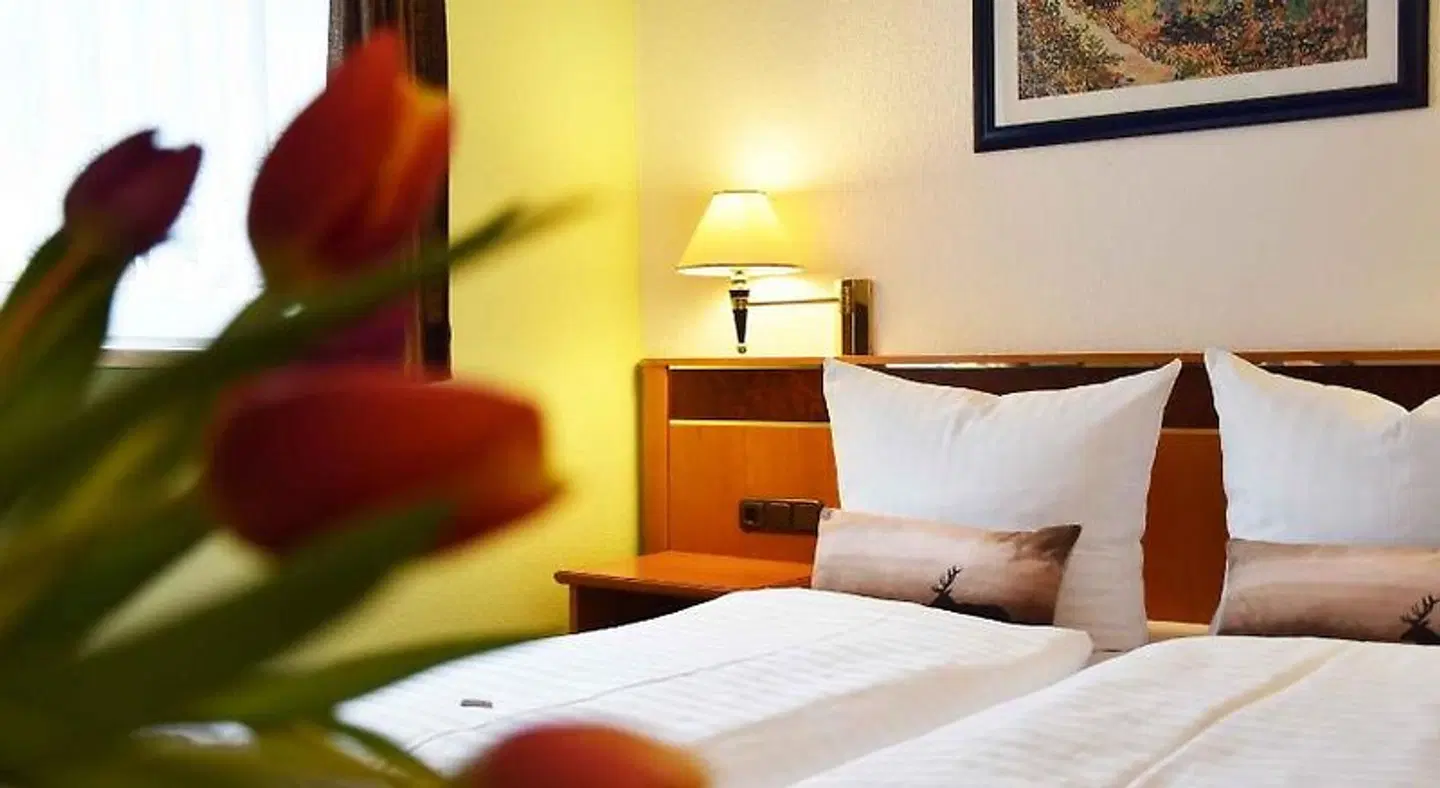 Landhotel Zum Hirsch ROOM_EXAMPLE