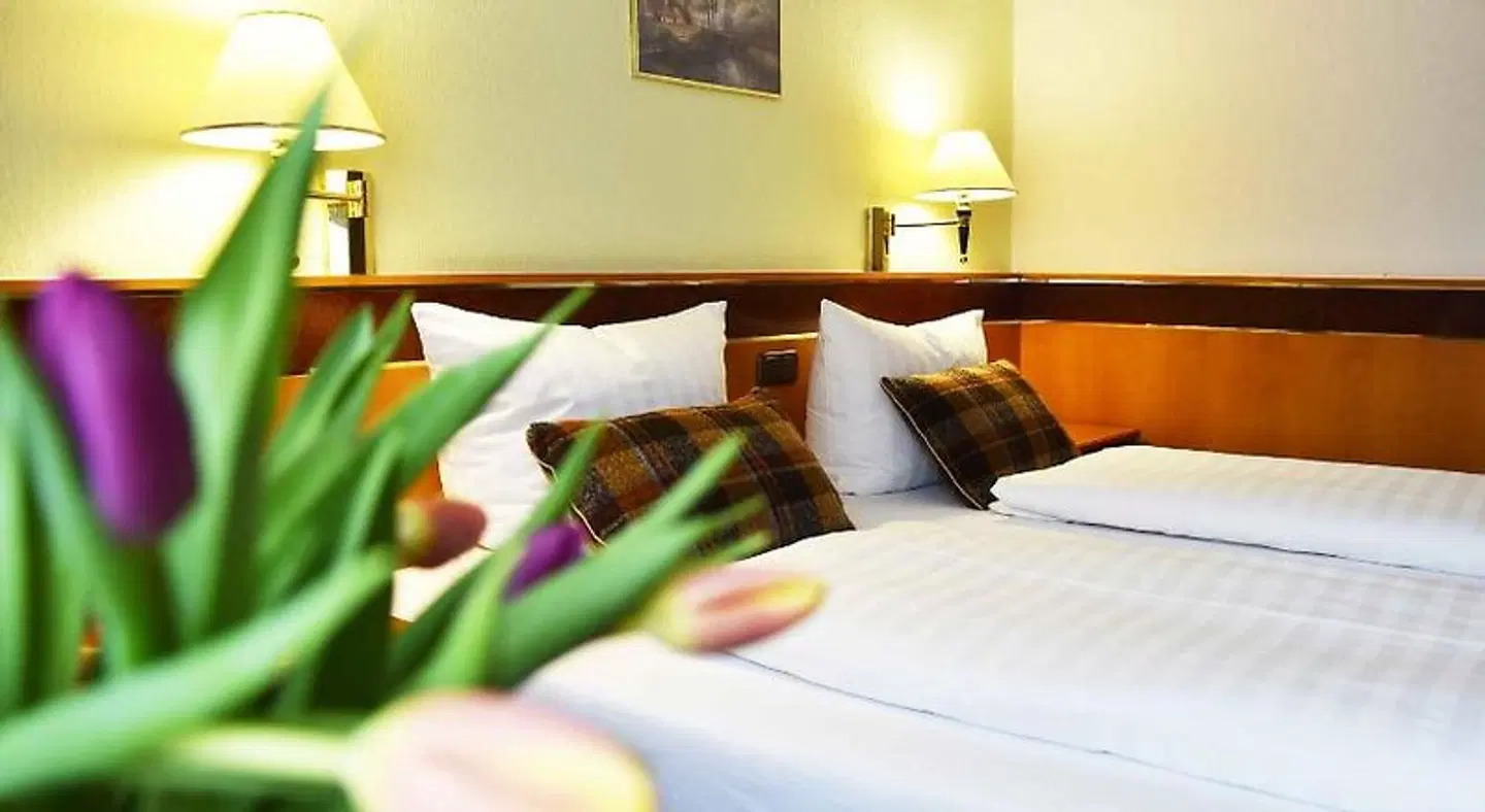 Landhotel Zum Hirsch ROOM_EXAMPLE