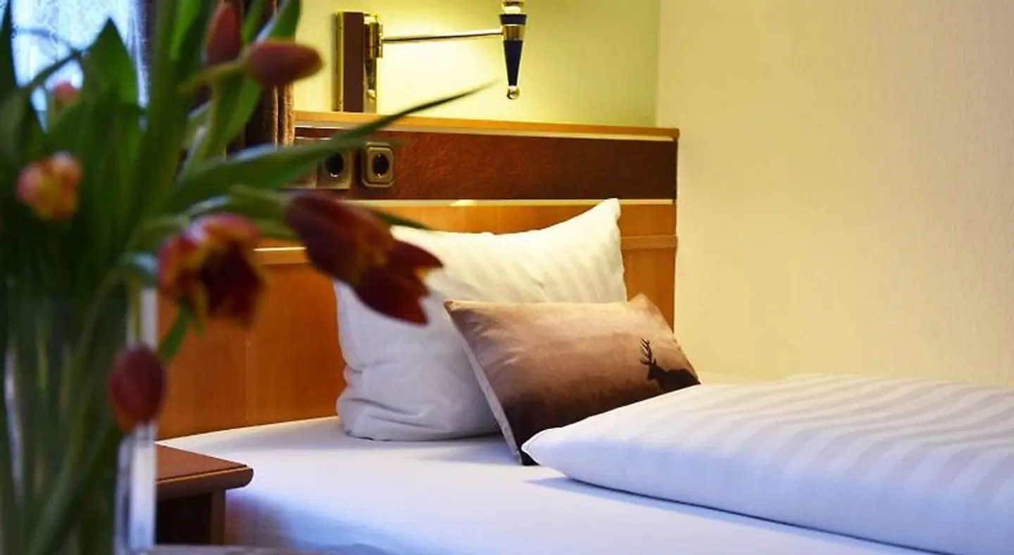 Landhotel Zum Hirsch ROOM_EXAMPLE
