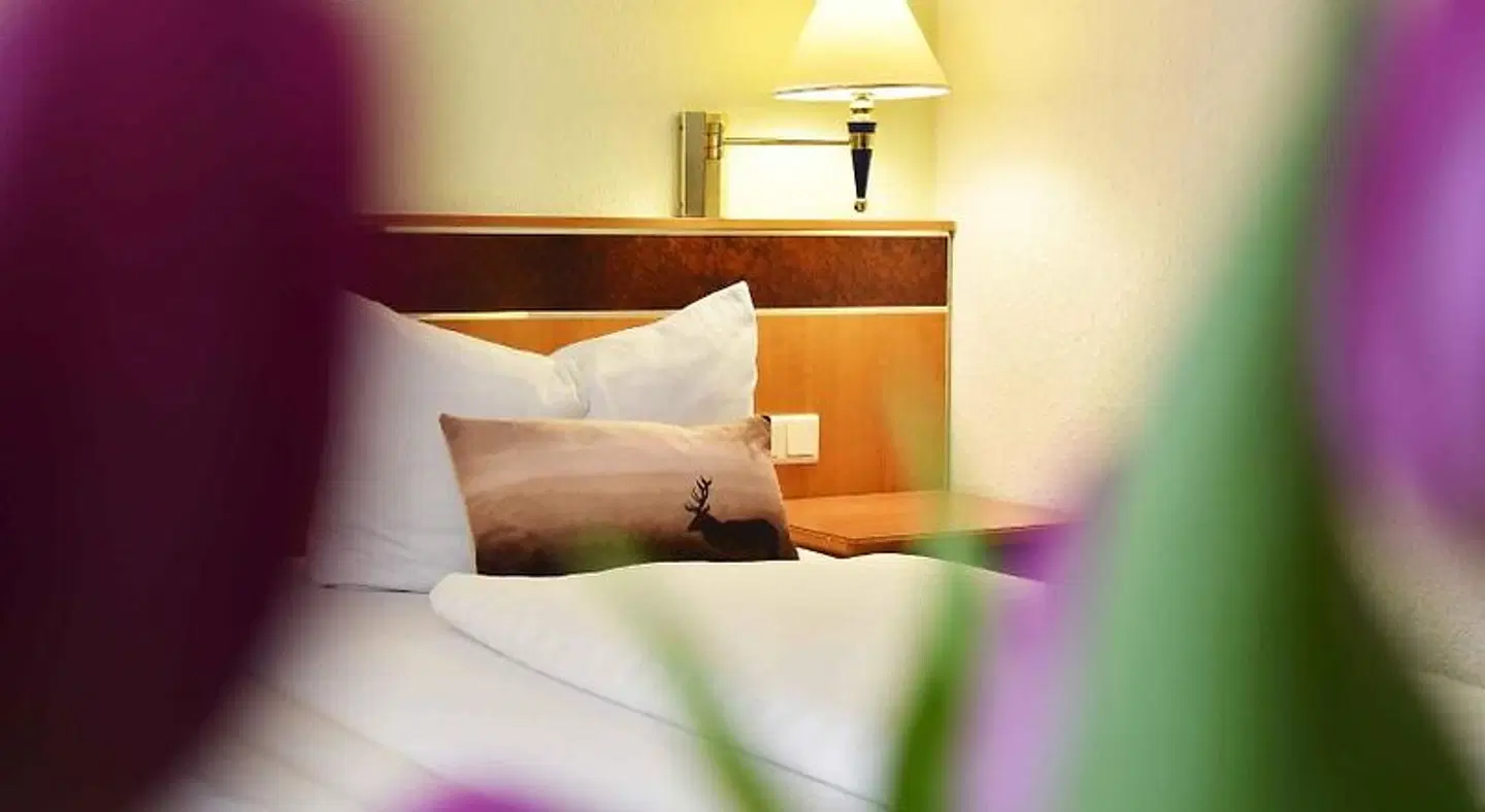 Landhotel Zum Hirsch ROOM_EXAMPLE