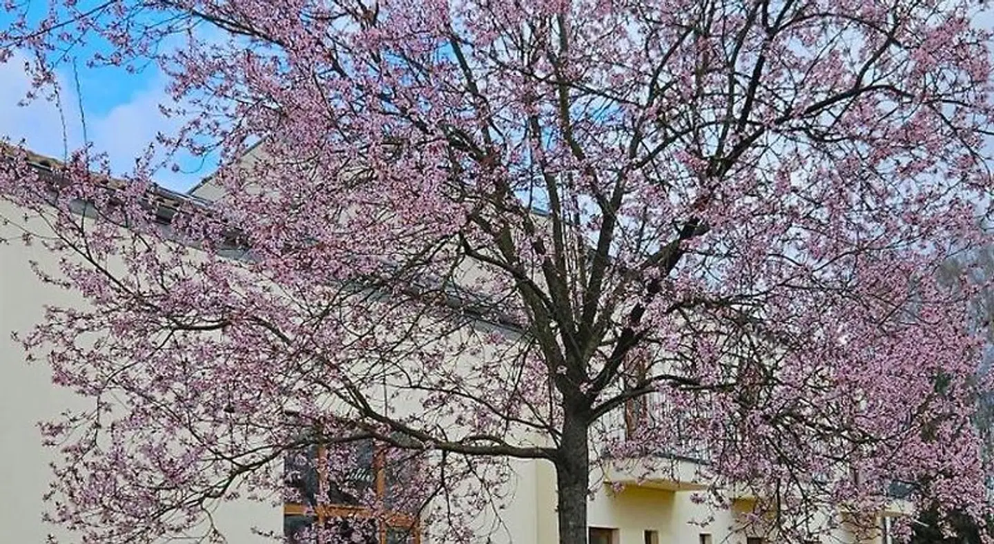 Kreativhotel Cellino LANDSCAPE