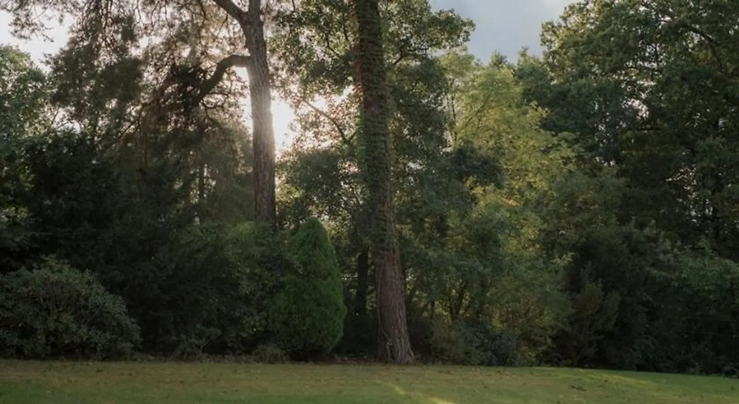 nook Bad-Saarow Garten