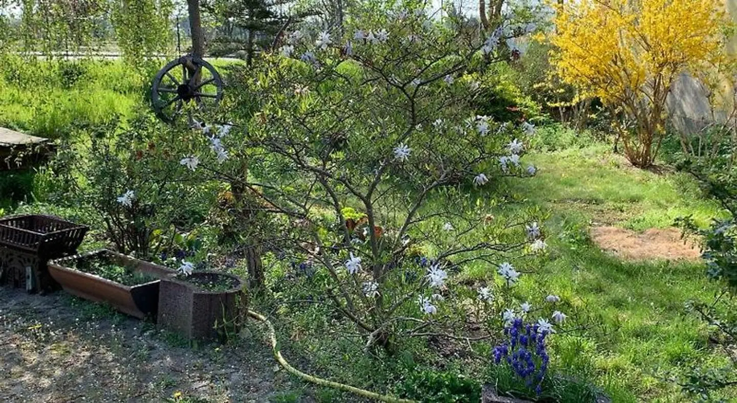 Schroeder's Gasthof - Motel LANDSCAPE