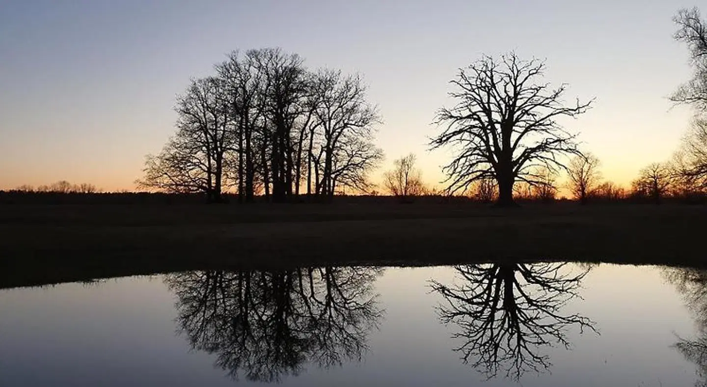 Landhaus Elbeflair LANDSCAPE
