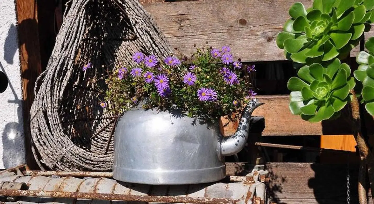 Landhotel Zur Pferdetränke Terrasse