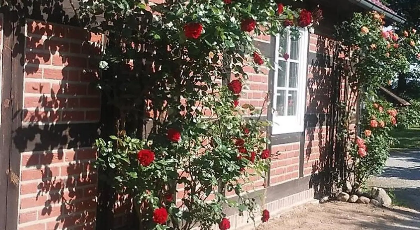 Landhaus Elbeflair EXTERIOR