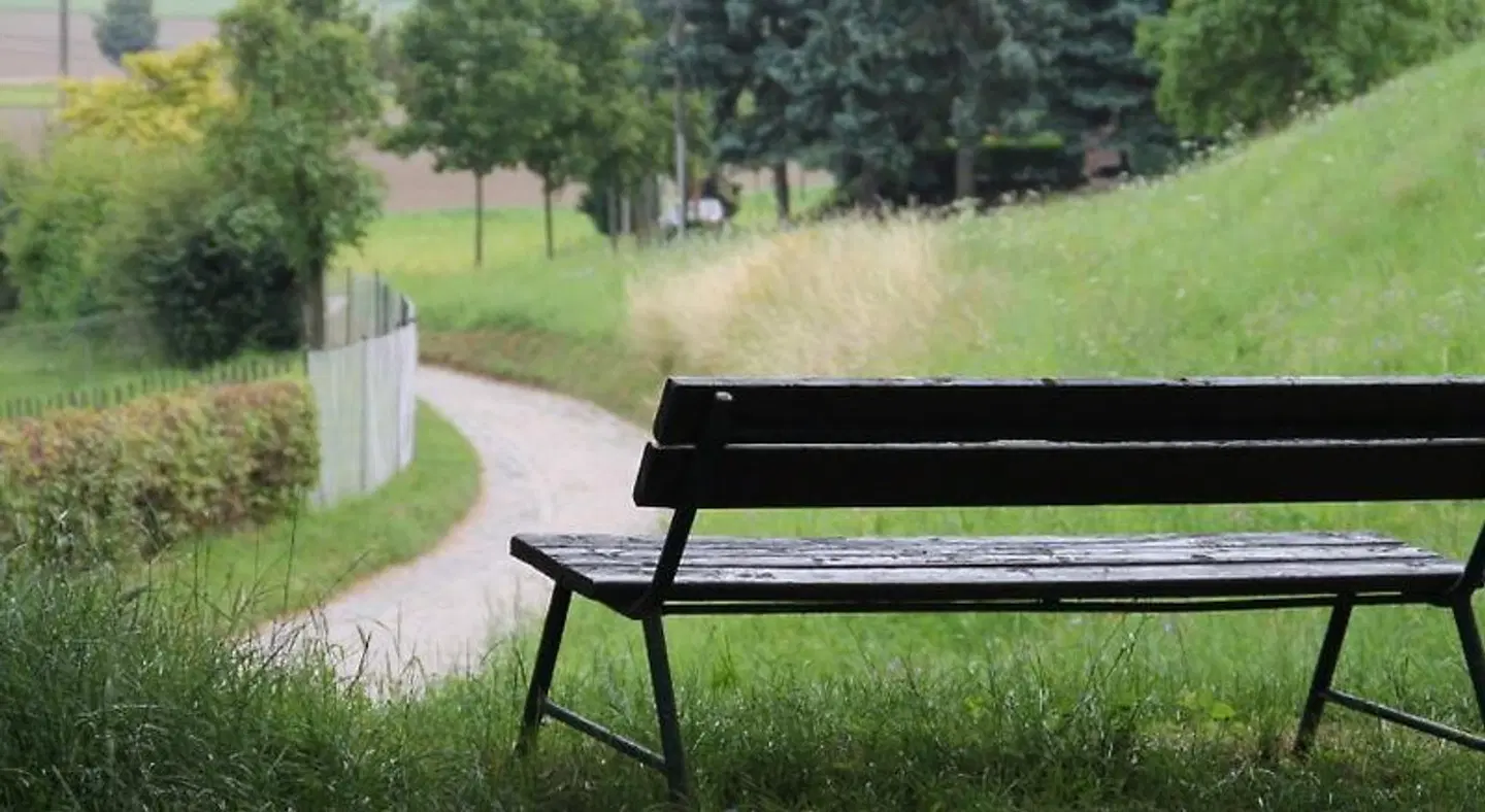 Zum Rebstock Garten