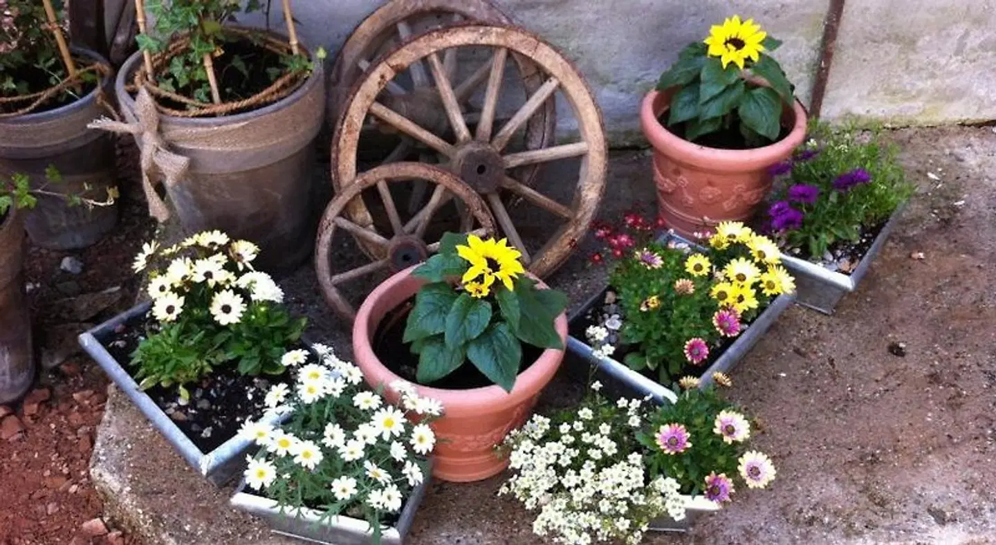 Gästehaus Auszeit Garten