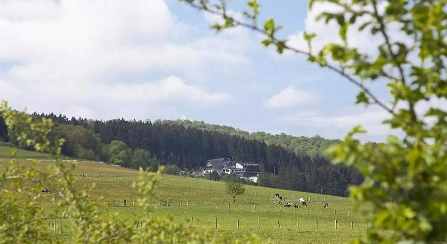 Waldhotel Willingen LANDSCAPE