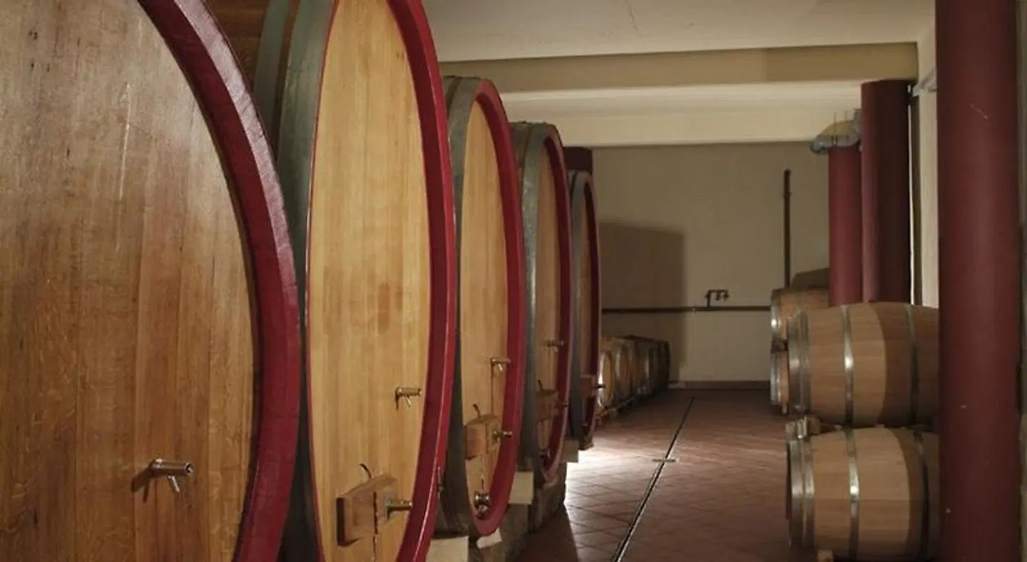 Gästehaus Palatinum HEALTH_BEAUTY