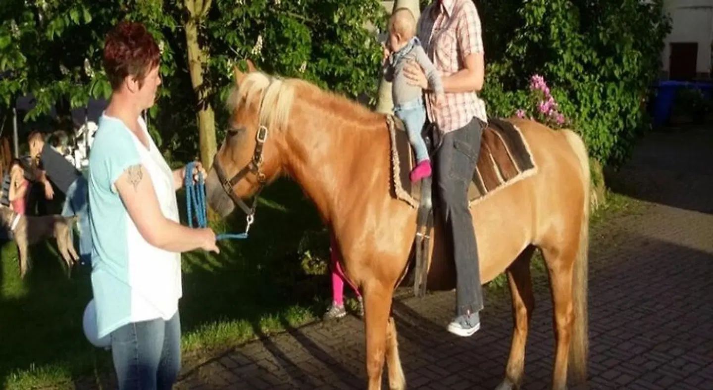 Reiterhof Aumühle Tiere