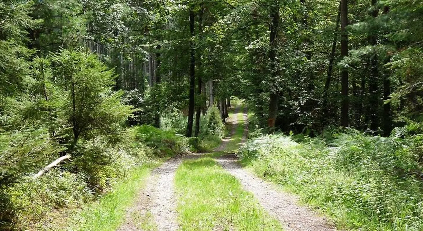 Siegfriedbrunnen Garten