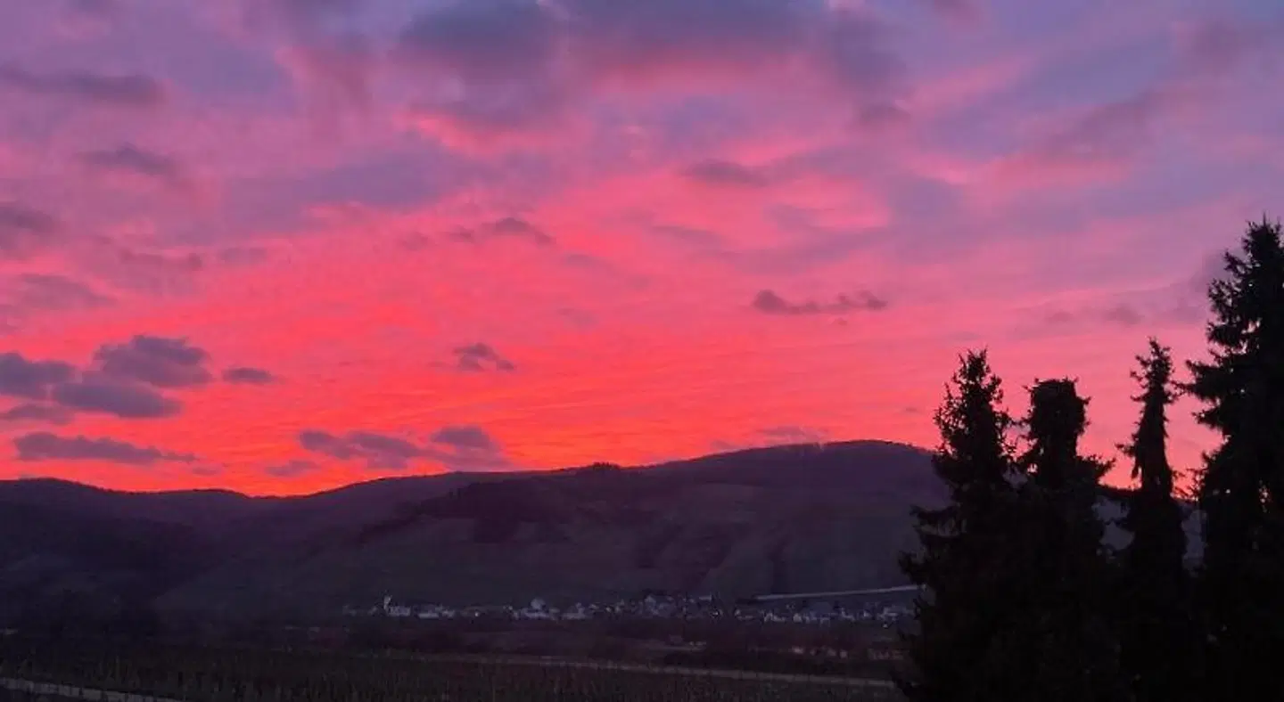 Weingut Pension Bastian LANDSCAPE
