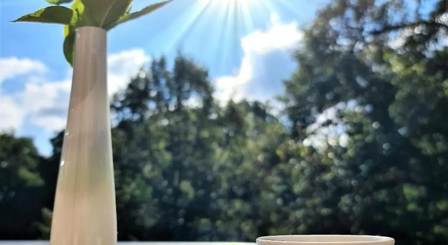 Landhotel Villa am Gutsweg LANDSCAPE