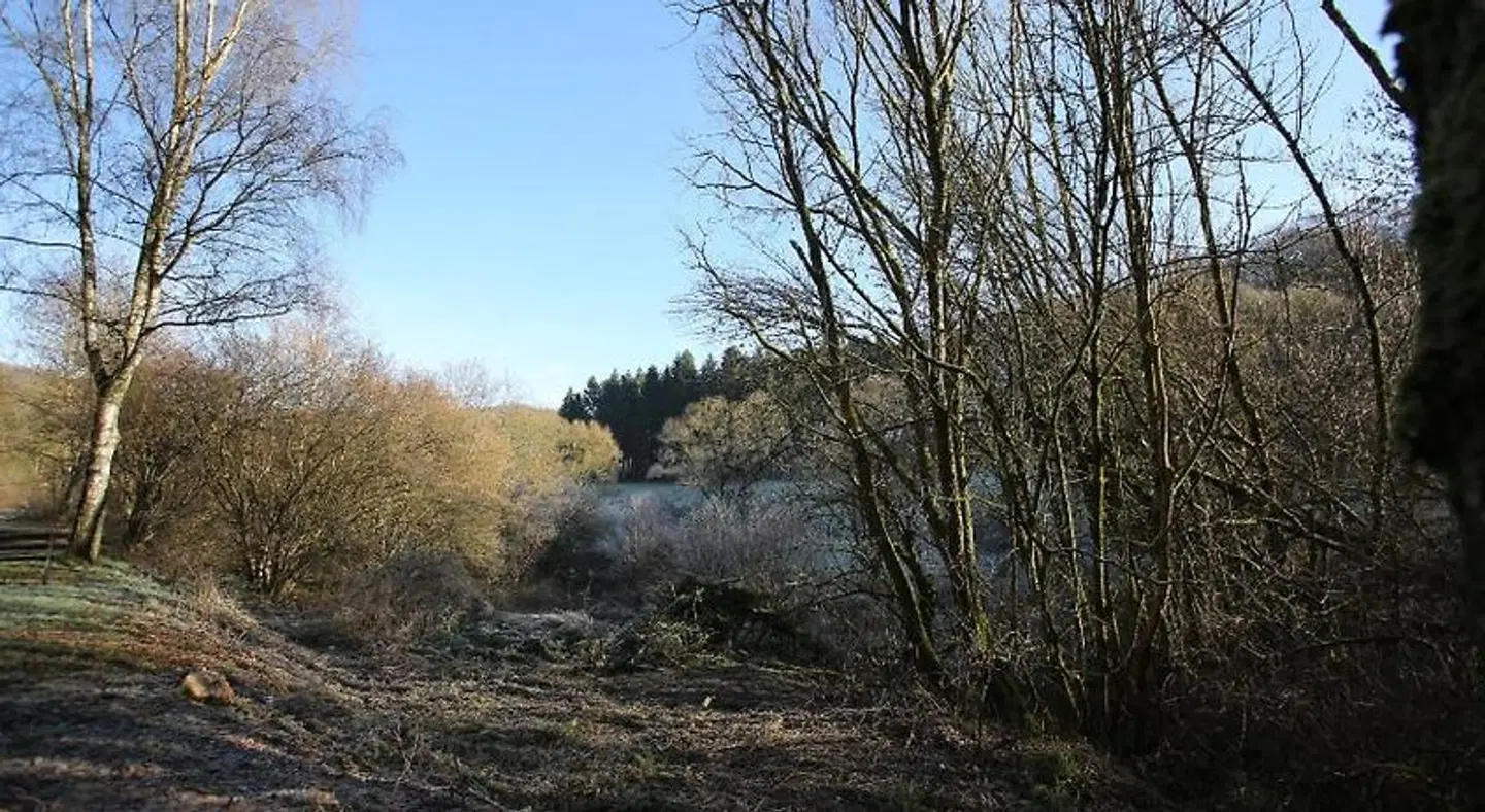 Islekhöhe Gansen LANDSCAPE