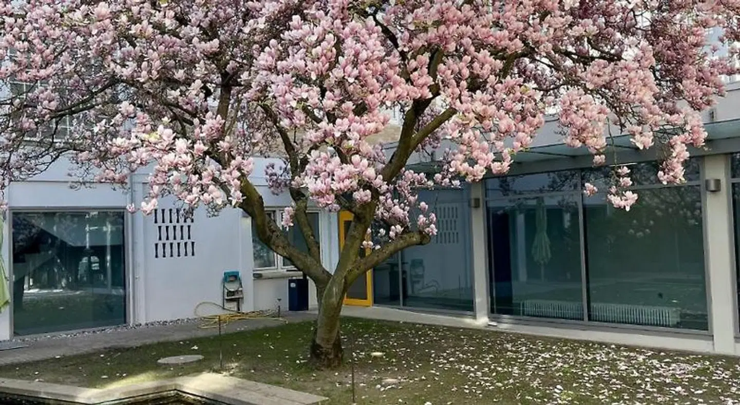 hoffmanns hofe EXTERIOR