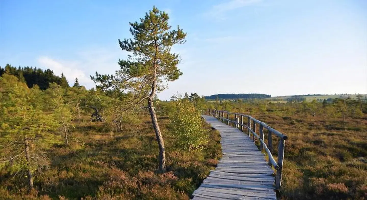 Gästehaus Jäger LANDSCAPE
