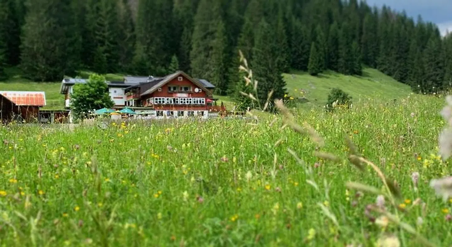 Alpenhotel DAS KUREN Garten