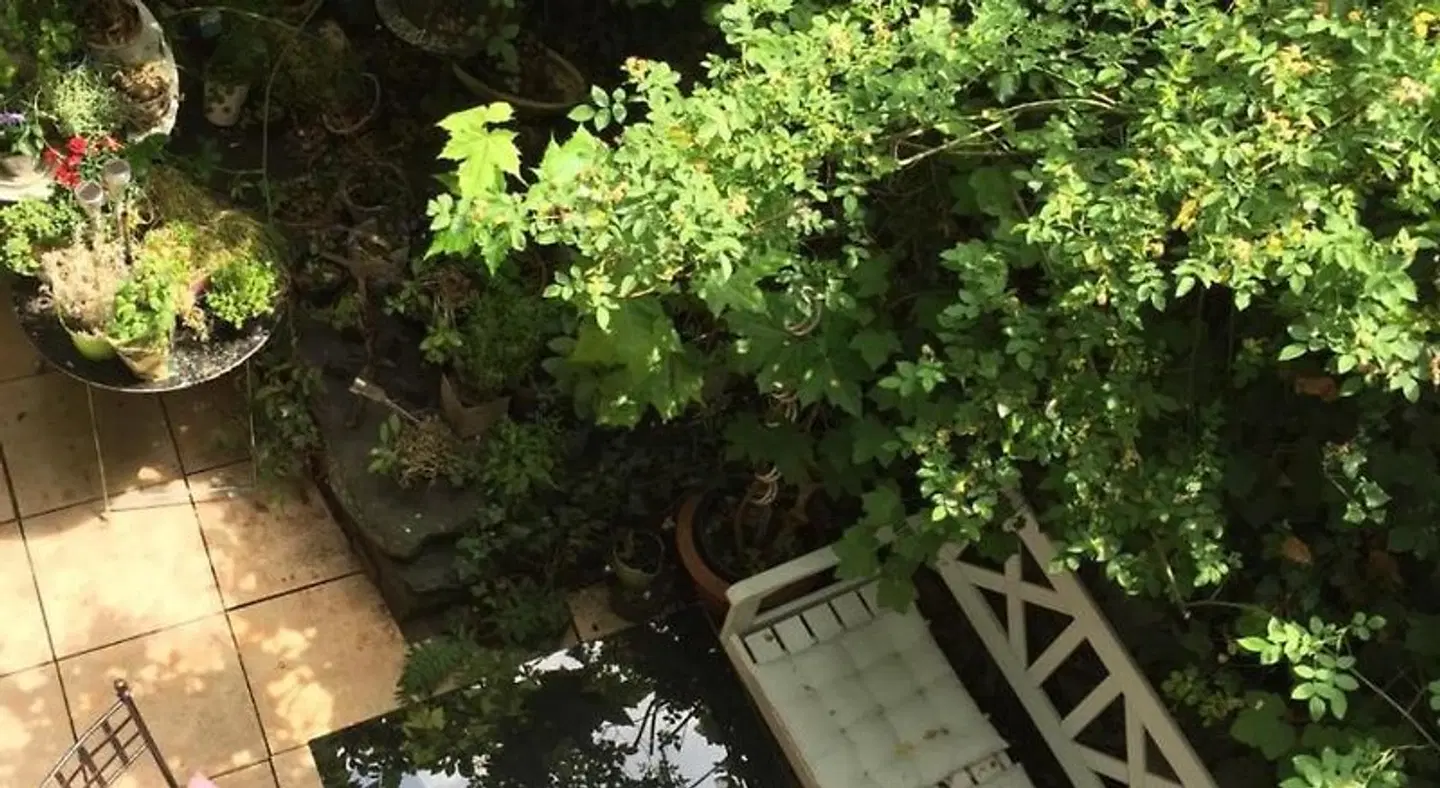 Hotel Liebezeit Garten