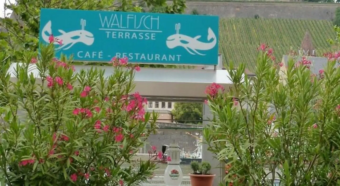 Walfisch EXTERIOR