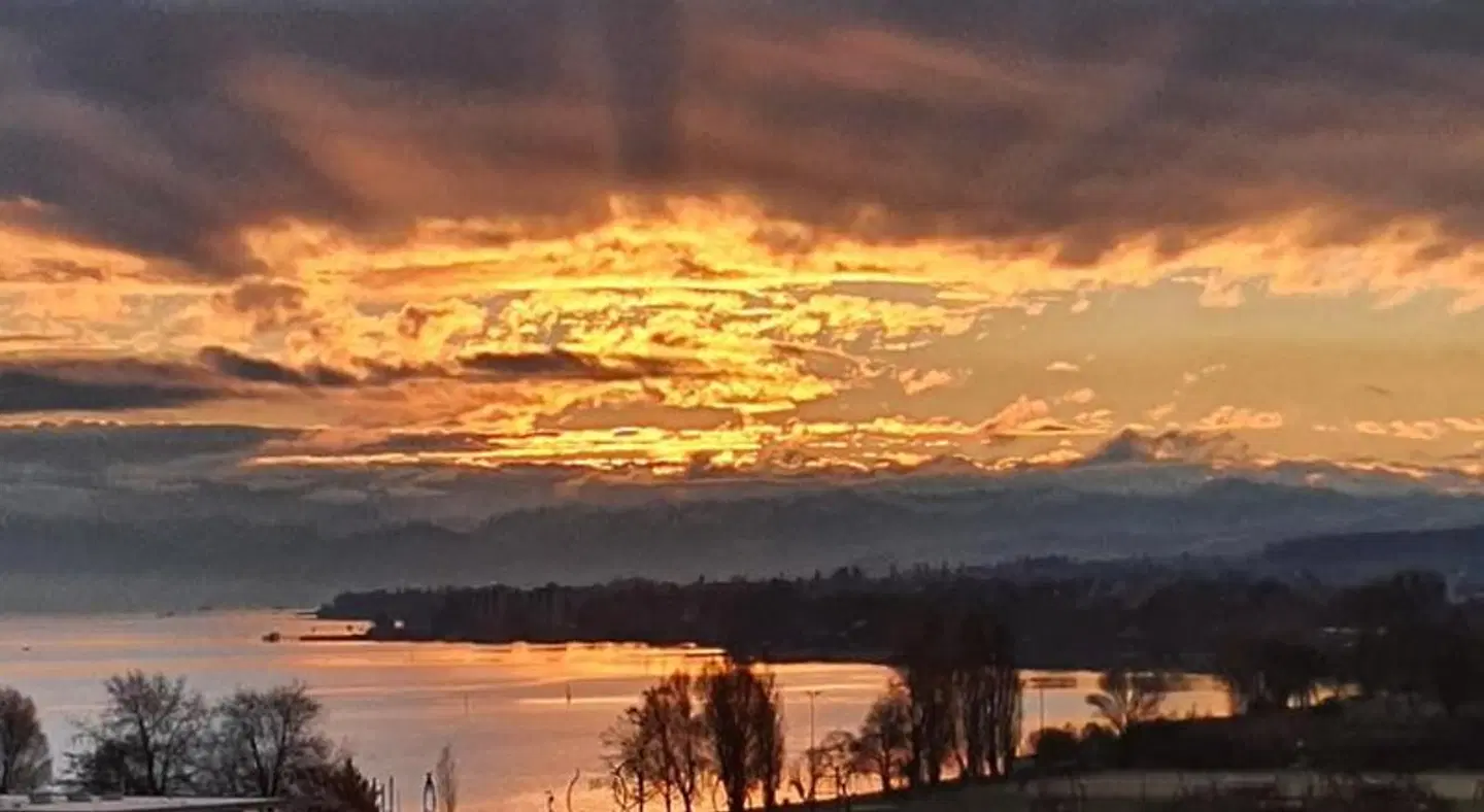 Viva Sky LANDSCAPE